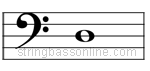 bass D